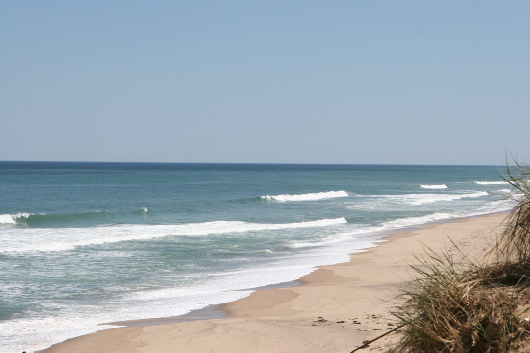 Lecount Hollow Beach Wellfleet The Southfleet